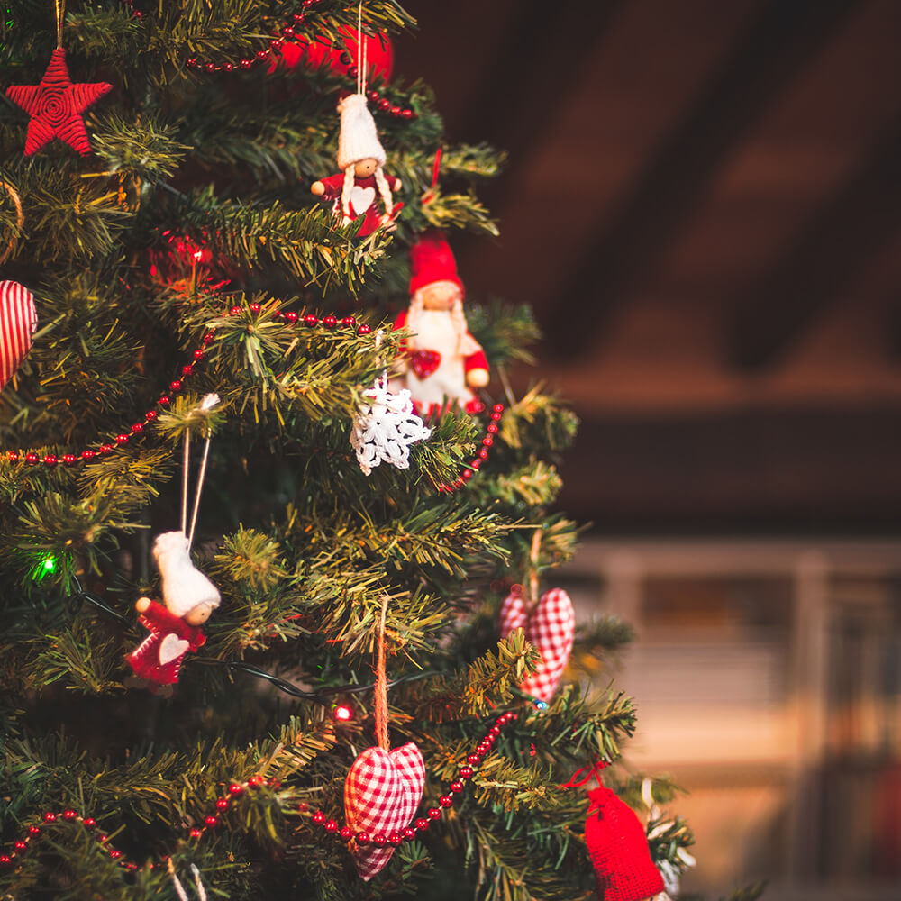 sapin